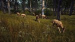 Way of the Hunter * АВТОДОСТАВКА STEAM GIFT РОССИЯ