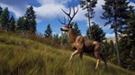 Way of the Hunter * АВТОДОСТАВКА STEAM GIFT РОССИЯ