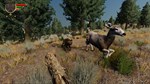 WolfQuest: Anniversary Edition * STEAM РОССИЯ