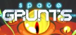 Space Grunts * АВТОДОСТАВКА STEAM GIFT РОССИЯ