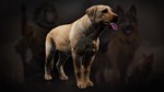 Icarus: Pet Companions Pack * DLC STEAM GIFT РОССИЯ