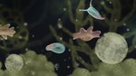 Jellies of the Deep * АВТОДОСТАВКА STEAM РОССИЯ