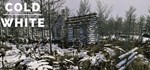 The Cold White * АВТОДОСТАВКА STEAM РОССИЯ