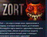 ZORT * АВТОДОСТАВКА STEAM РОССИЯ