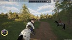 Unbridled: That Horse Game * АВТОДОСТАВКА STEAM РОССИЯ