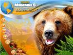 Wildlife Creative Studio *STEAM KEY REGION FREE GLOBAL