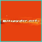 Bitspyder.net приглашение - инвайт на Bitspyder.net