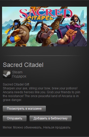 Sacred Citadel (Steam Gift/Region Free)