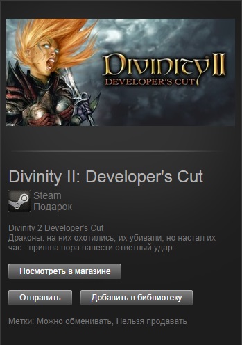 Divinity II: Developer´s Cut (Steam Gift/Region Free)