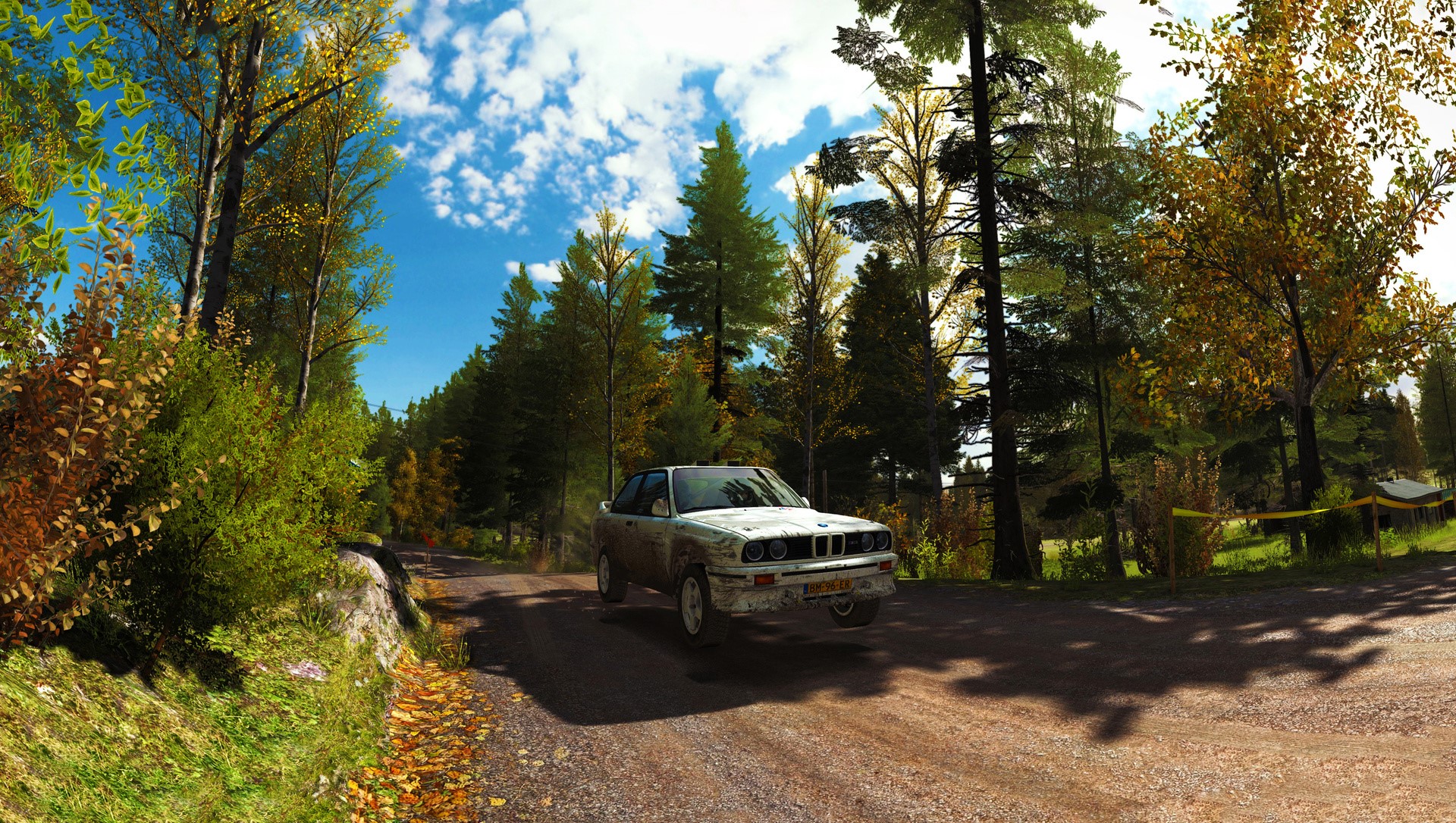 Dirt rally steam key фото 53