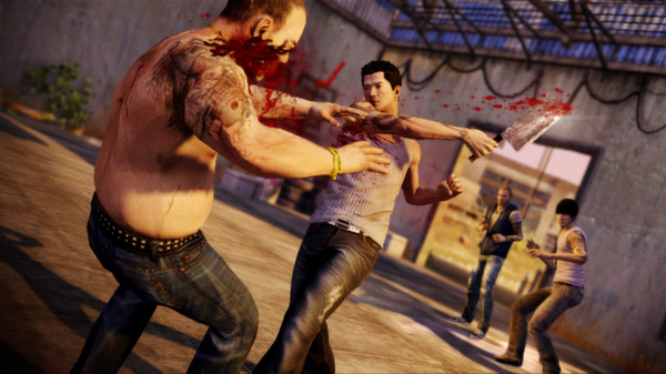 Sleeping Dogs Collection ( Steam Row )