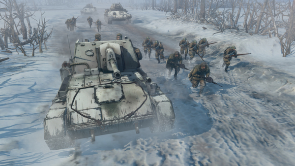 Company of Heroes 2  (Steam Gift / Region Free)