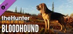 theHunter Call of the Wild - Bloodhound (DLC) * STEAM