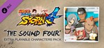 NARUTO SHIPPUDEN: Ultimate Ninja STORM 4 DLC COLLECTION