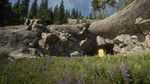 *THEHUNTER™ CALL OF THE WILD - SILVER RIDGE PEAKS*XBOX