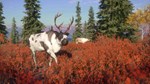 *THEHUNTER: CALL OF THE WILD - YUKON VALLEY**XBOX*КЛЮЧ