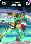 **USFIV: BRAWLER VACATION PACK*STEAM GIFT*АВТО