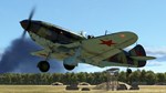 **ИЛ-2 ШТУРМОВИК: СТЕПНОЙ ОГОНЬ*STEAM GIFT*АВТО