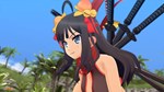 **SENRAN KAGURA ESTIVAL VERSUS - SHINOBI PACK*STEAM