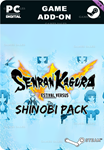 **SENRAN KAGURA ESTIVAL VERSUS - SHINOBI PACK*STEAM