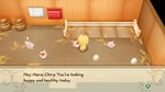 **STORY OF SEASONS: FRIENDS OF MINERAL - CHICK COSTUME