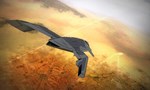 **VECTOR THRUST*STEAM GIFT*АВТОДОСТАВКА*