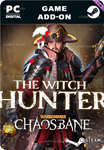 **WARHAMMER: CHAOSBANE - WITCH HUNTER*STEAM GIFT*