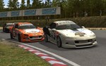 **STCC - THE GAME 1 - EXPANSION PACK FOR RACE 07*