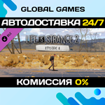 Life is Strange 2 - Episode 4 DLC STEAM *АВТО*0%