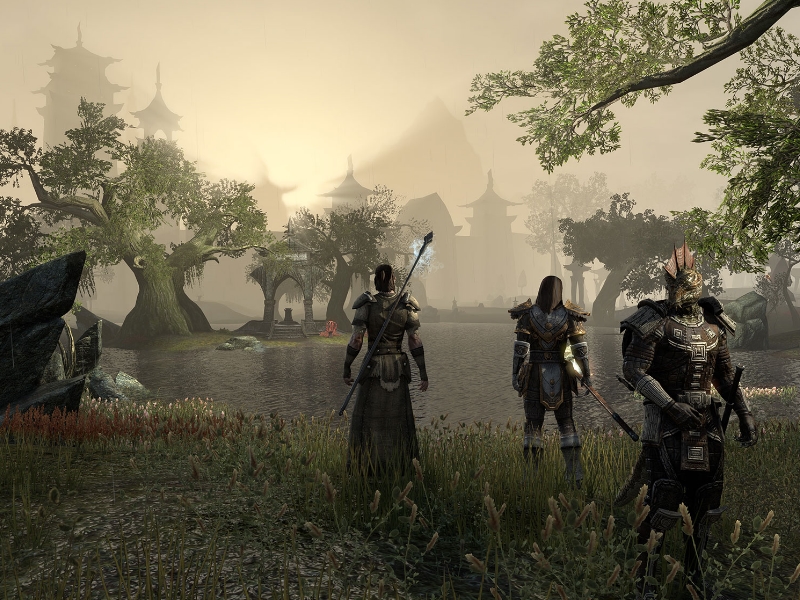 The Elder Scrolls Online Tamriel Unlimited (Steam | RU