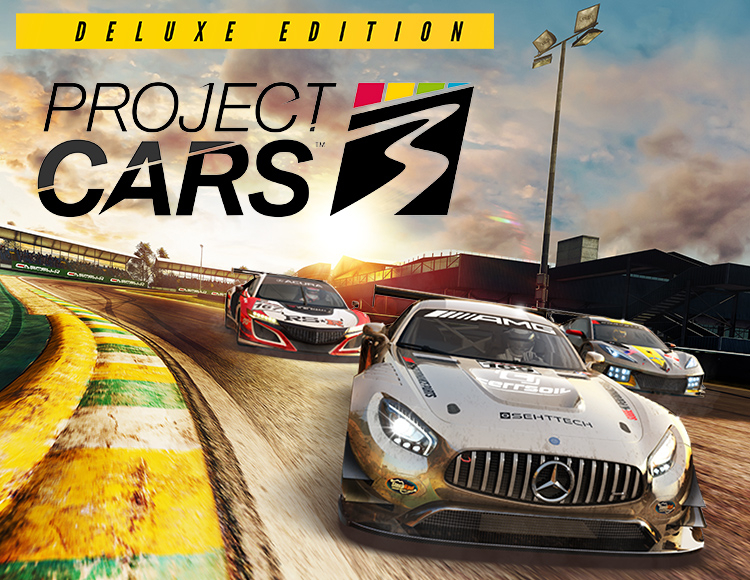 Project cars 3 как поставить русский язык