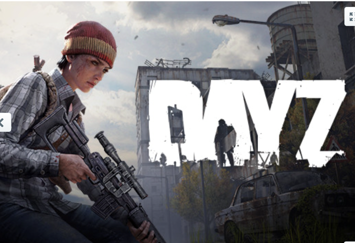 Dayz цена в steam в рублях фото 5