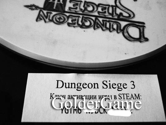Dungeon Siege 3. Steam. Region Free. Ключ от Новый Диск