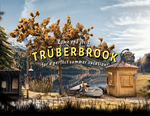 Truberbrook / Tr*berbrook / STEAM КЛЮЧ *