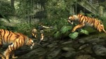 Tomb Raider: Underworld *ключ PC GOG.com *Весь мир