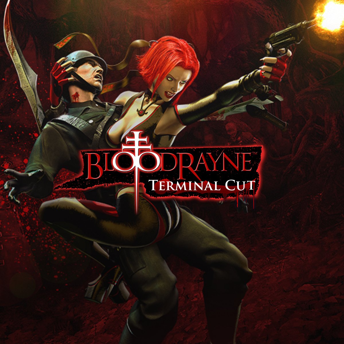 Bloodrayne steam key фото 16