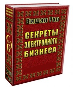 Вишал Рао-СЕКРЕТЫ ЭЛЕКТРОННОГО БИЗНЕСА