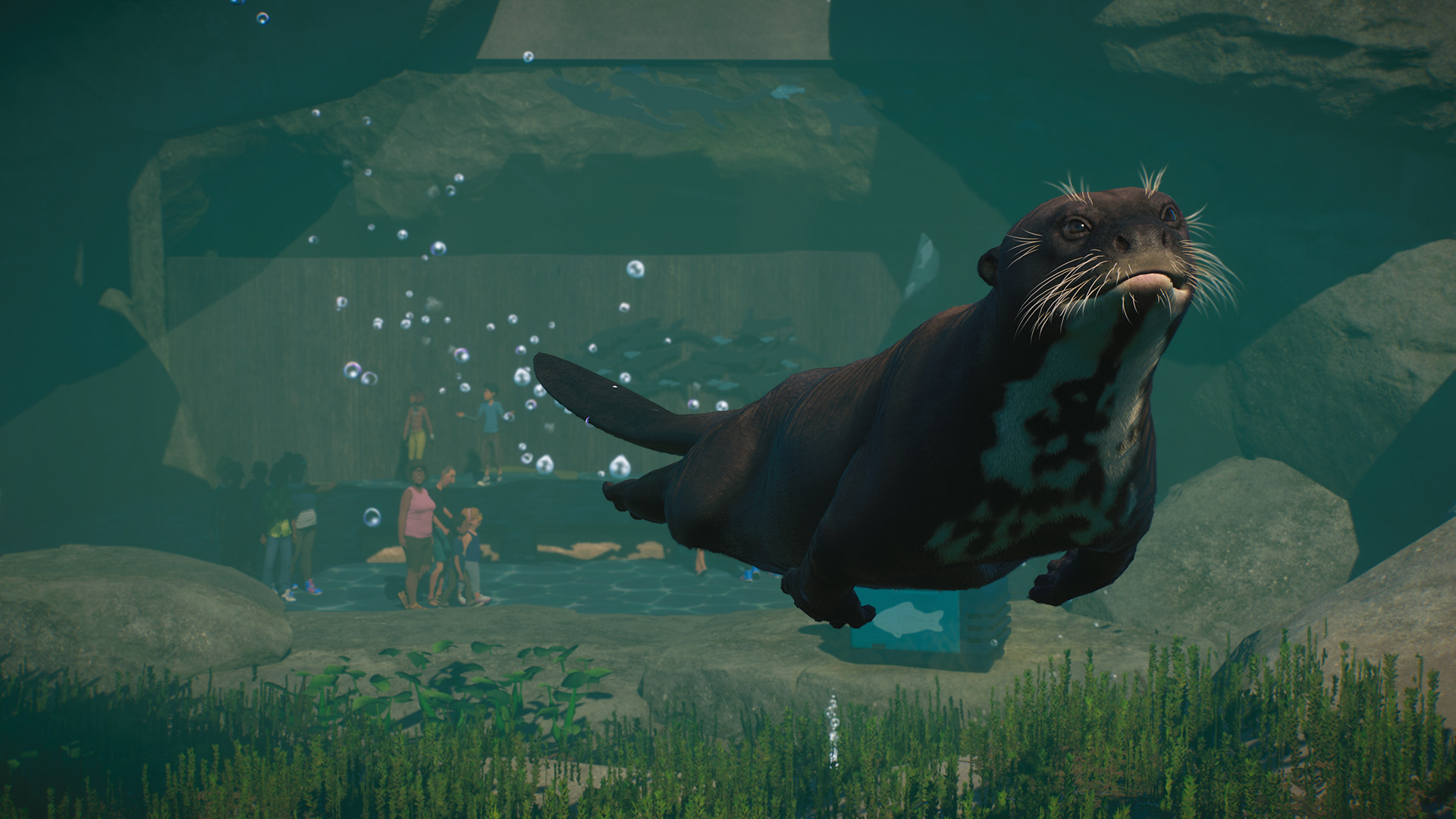 Planet zoo ps5. Planet Zoo: Aquatic Pack. Планета зоопарк игра. Planet Zoo выдра. Planet Zoo зоопарки.