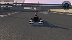 Karting (Steam key / РФ+Весь Мир)