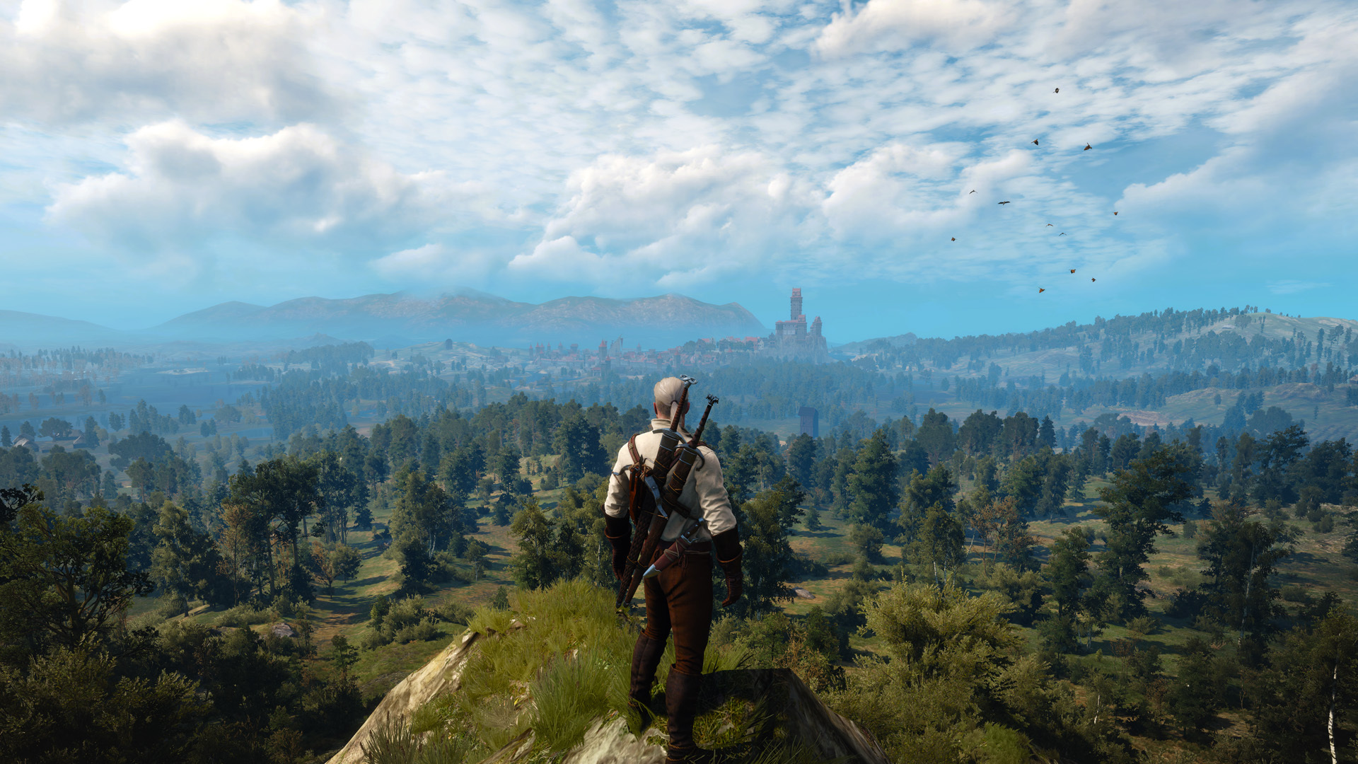 Witcher 3 goty steam не фото 28