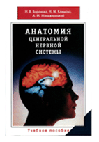 Анатомия центральной нервной системы    Воронова Н.В.