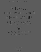 Атлас топ. анатомии человека  Золотко Ю.  т.III