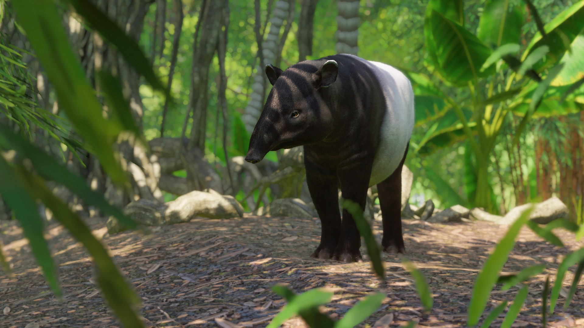 Planet zoo steam key фото 71