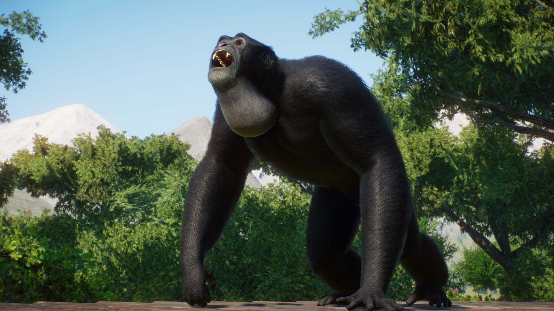 Planet zoo steam key фото 20