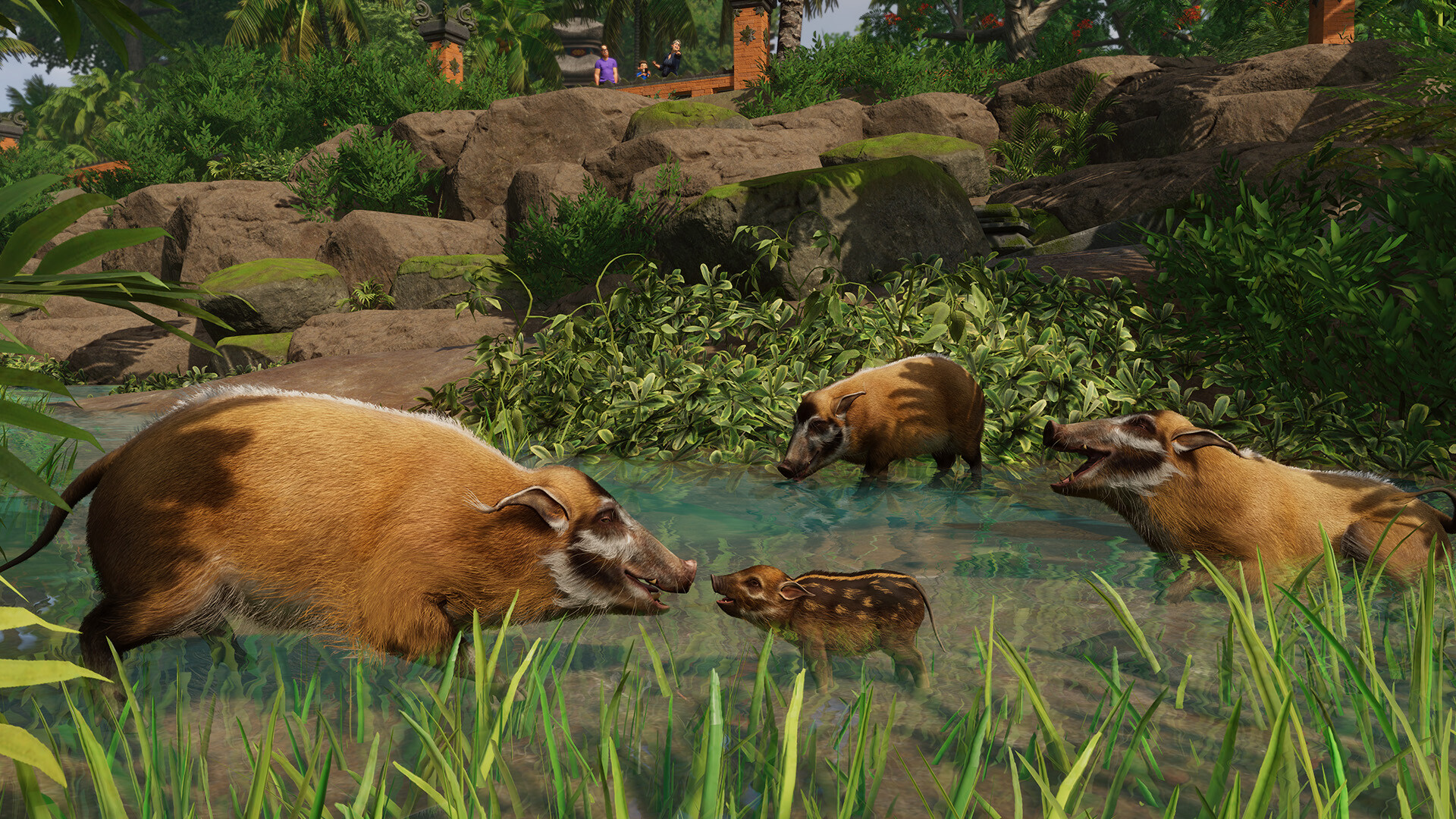 Planet zoo steam key фото 25