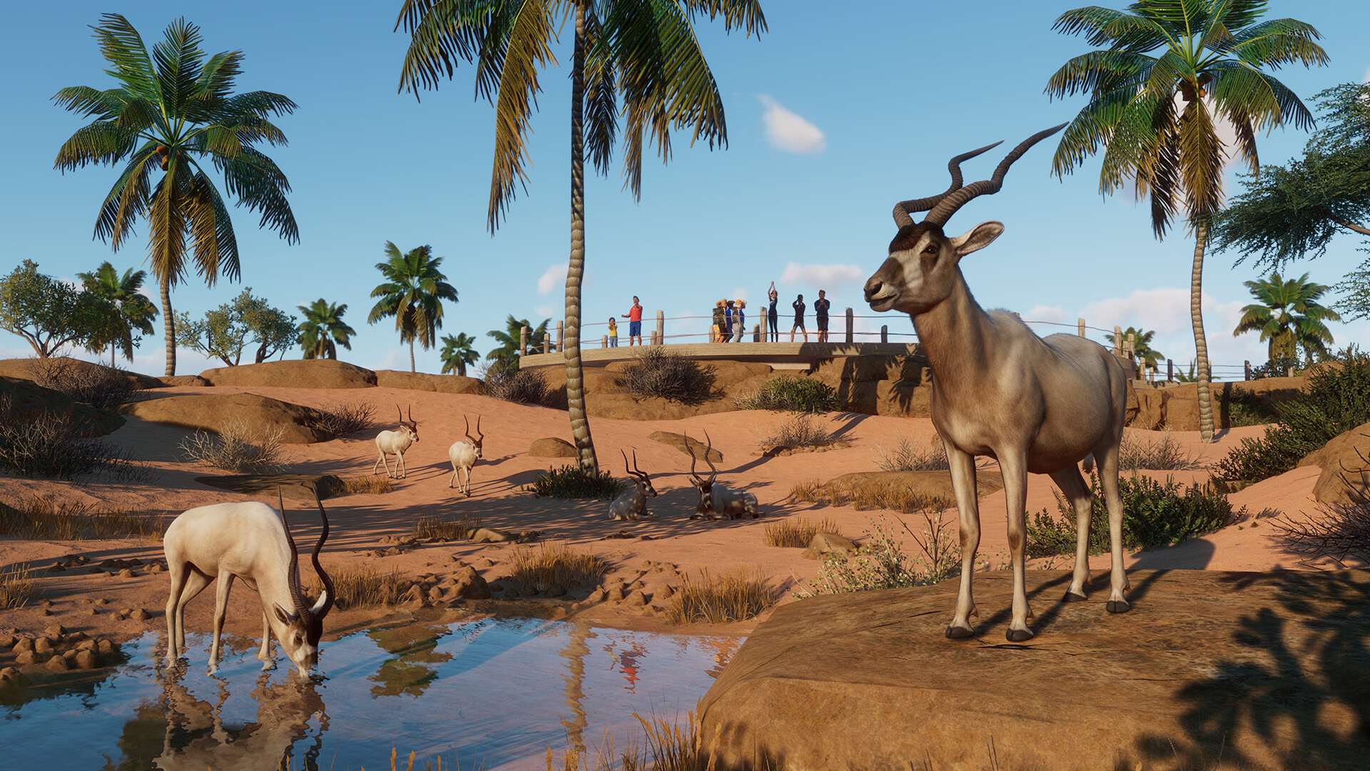 Planet zoo steam key фото 39