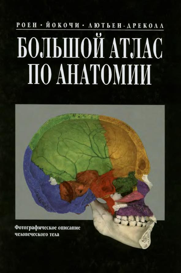 Большой атлас по анатомии. Роен, Йокочи, Лютьен, Дреколл