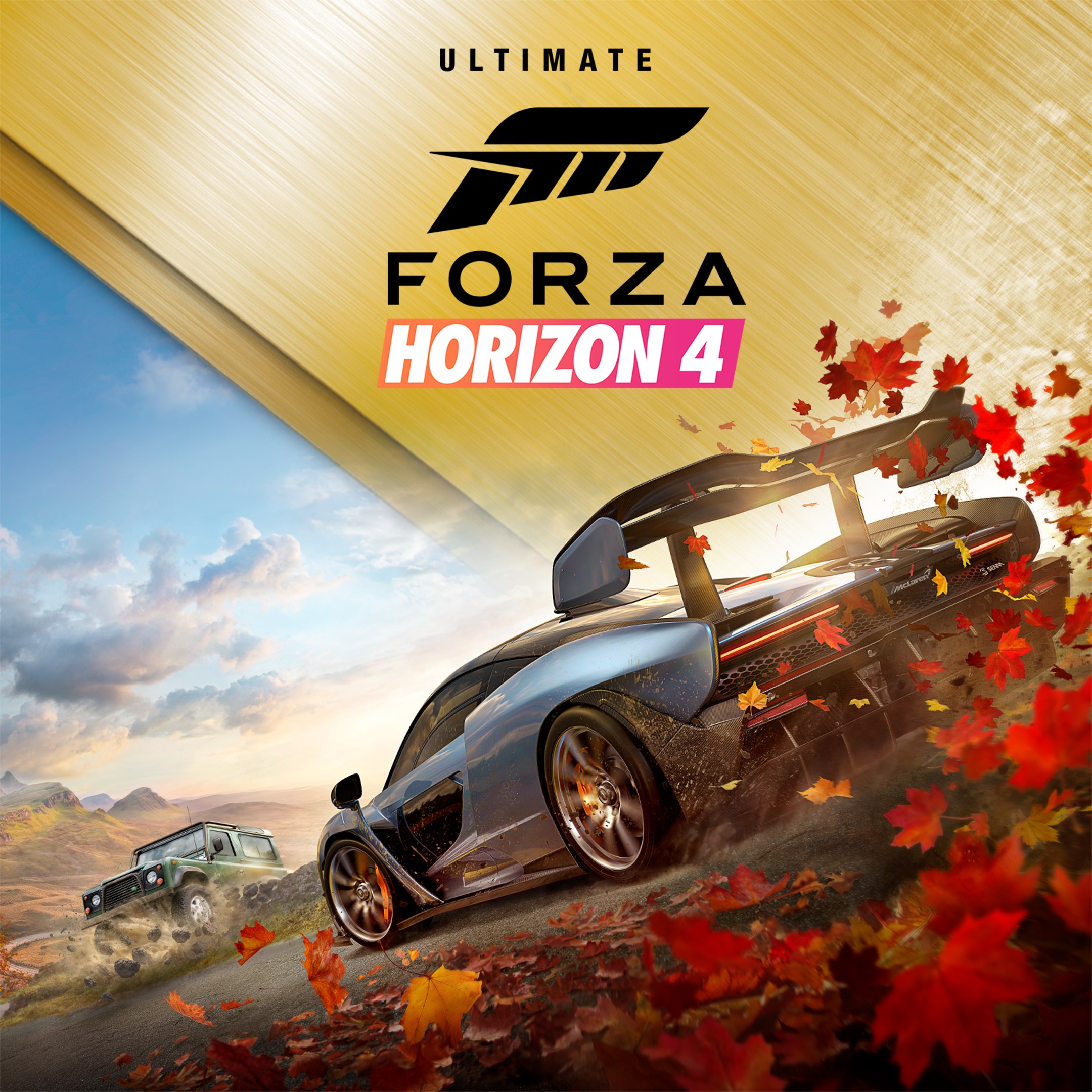 Logitech momo forza horizon 4 steam фото 97