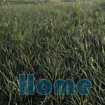 **Home / Steam Key / РФ+МИР