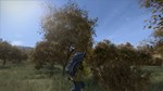 DayZ PC Steam Gift